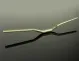 Renthal V3 Fatbar MTB Riser Aluminium 31.8 mm Ø | Rise 40 mm, width 800 mm, gold