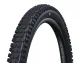 Schwalbe Albert Gravity Pro Tyre UltraSoft TLR 29 inches x 2.50
