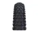 Schwalbe Albert Gravity Pro Tyre UltraSoft TLR 29 inches x 2.60