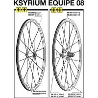 Mavic Ksyrium Equipe rear wheel spoke (right-hand side), 298.5 mm, silver, flat, 2008 model, without nipples – limited stock