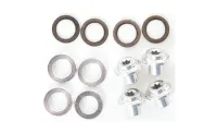 Campagnolo replacement discs and nuts for SR-R-CH brake pads from 2000 onwards