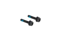 Campagnolo Flat Mount brake caliper bolts, rear, 34 mm, 2 pieces