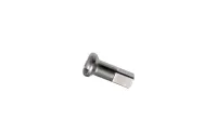 DT Swiss brass nipple, 2.0 mm, silver, 12 mm length