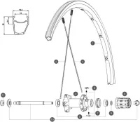 Mavic Ksyrium Elite S replacement spoke, rear wheel left, red, black nipple, 301 mm, 2014–15 model