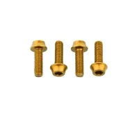 Wolf Tooth Aluminium Bottle Cage Screw Set – M5x15mm Cylinder Head Gold