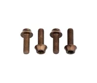 Wolf Tooth Aluminium Bottle Cage Screw Set – M5x15mm Cylinder Head, espresso