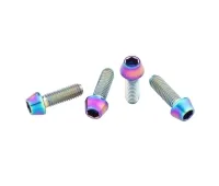 Wolf Tooth Titanium Bottle Cage Screw Set – M5x15mm Cylinder Head rainbow oilslick