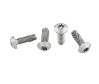 Wolf Tooth Titanium Bottle Cage Screw Set – M5x15mm Pan Head, Silver – Remaining stock