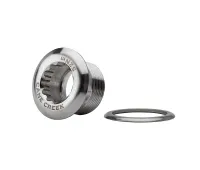 Cane Creek eeWings crank bolt with washer