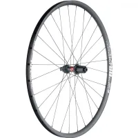 28-inch road/gravel rear wheel: DT Swiss 240 EXP straight-pull hub + DT Swiss RR 421 rim | built by TNC