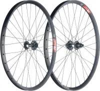 29-inch MTB wheelset: DT Swiss 350 Classic Disc hubs + DT Swiss FR 541 rims | built by TNC