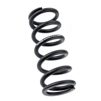 RockShox Deluxe shock absorber spring, steel, metric hub 47.5–55 mm, black, stiffness 250 lb