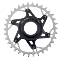 SRAM XX Eagle Transmission E-MTB Chainring | Direct Mount Shimano Steps T-Type 36-tooth