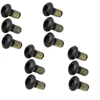Magura brake disc mounting bolts (Torx), 12 pieces