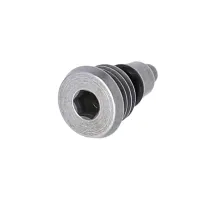 Campagnolo Brake/Shift Lever Spare Part EC-DB007 | Master Cylinder Bleed Screw, 1 pc