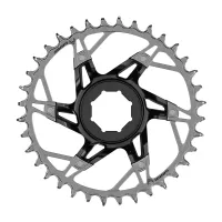 SRAM XX Eagle Transmission E-MTB Chainring | Direct Mount Brose Direct T-Type 36-tooth