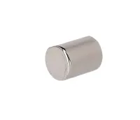 Campagnolo magnetic pin for nipple assembly NoMag