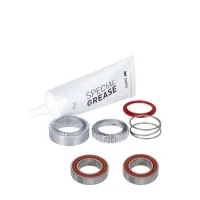 DT Swiss Service Kit Ratchet EXP 180 Rear Hub | Ball bearings + 54T sprockets